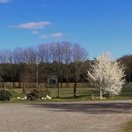 Heidkrug Ξενοδοχείο *